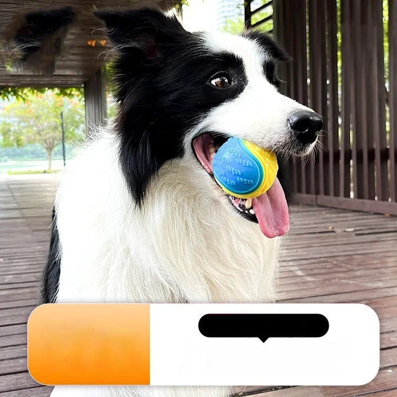 Red and blue TPR rubber dog training ball with sound, 6.5cm diameter