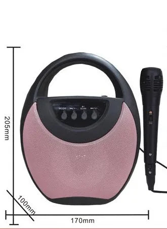 Portable Bluetooth speaker in black plastic casing with USB and SD card slots