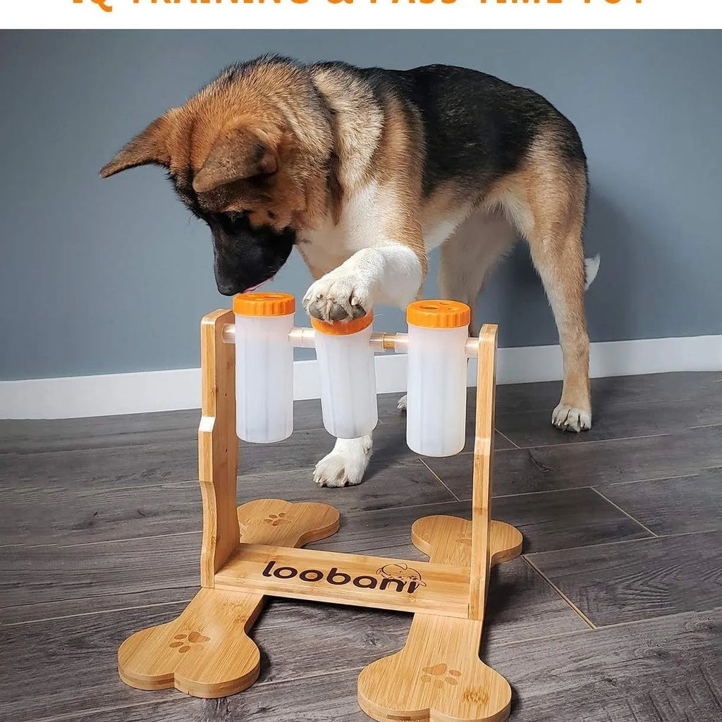 Wooden dog puzzle toy interactive snack dispenser feeder measuring 31x30x20cm dimensions