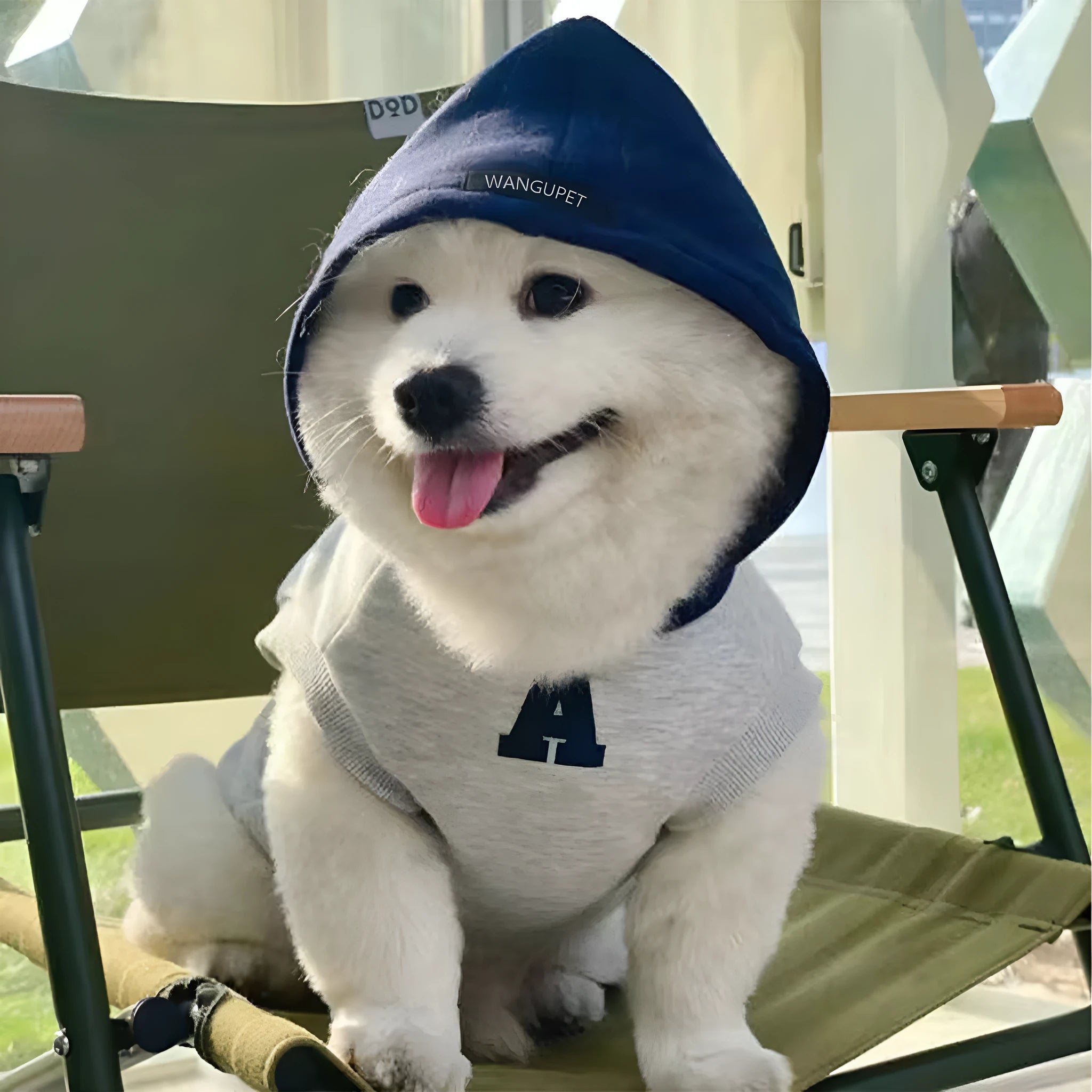 Blue and grey-white pet sweater with reflective letters for cats and dogs