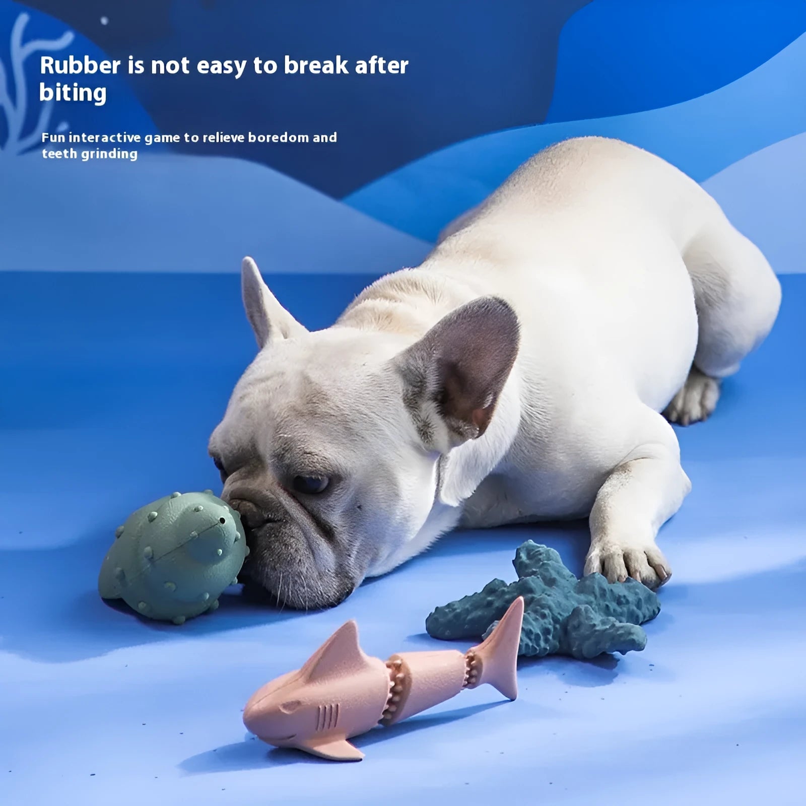 Rubber shark-shaped dog toy with ocean theme details in blue or green colour options