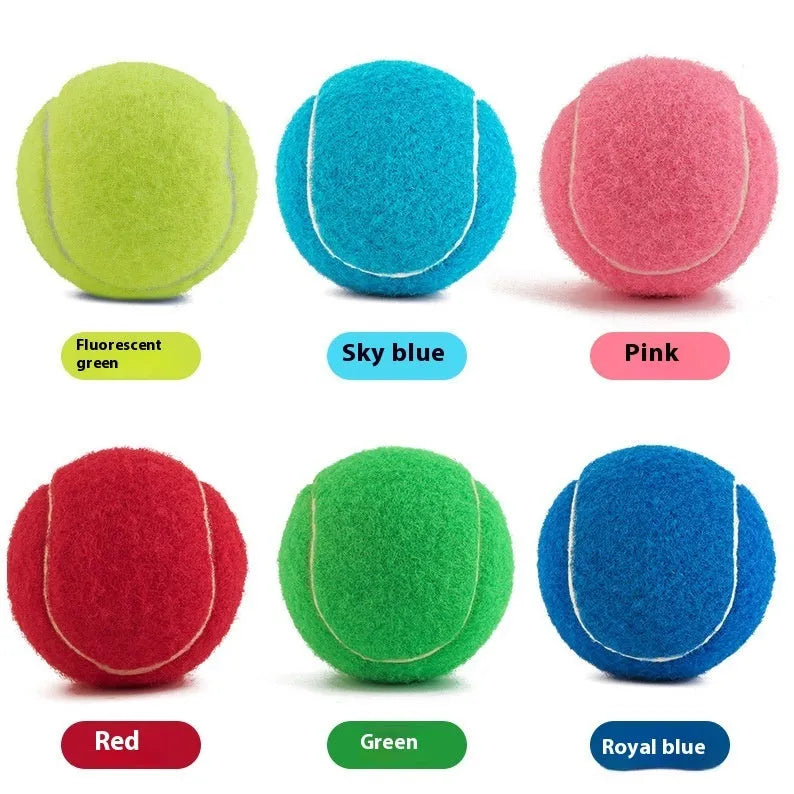 Rubber tennis ball dog toy in multiple colours with 6.3cm diameter for bite-resistant fetch games