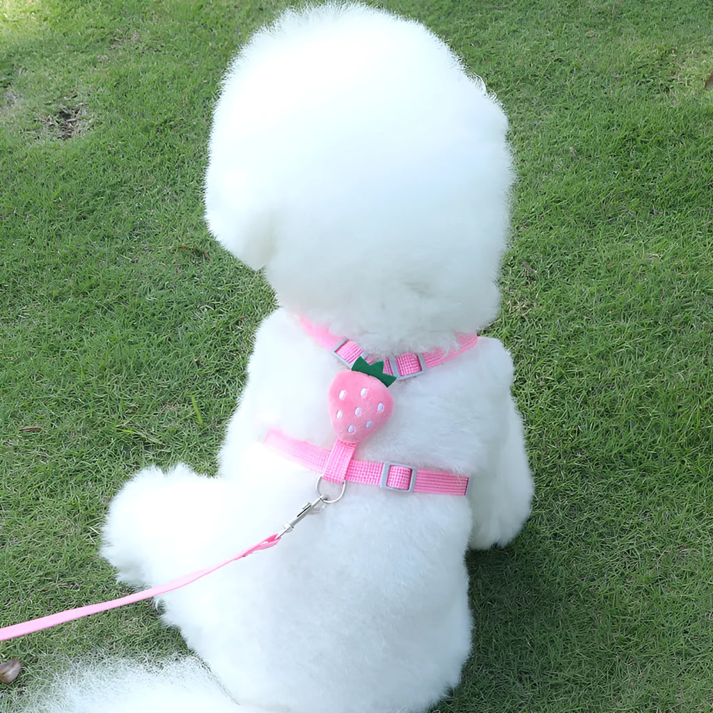 Reflective vest-style dog harness with handle rope in carrot colour for small dogs