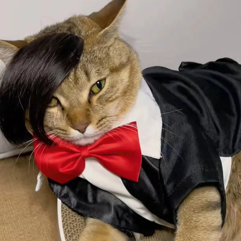 Black polyester fox tail cat wig with clip attachment for pet costume dressing