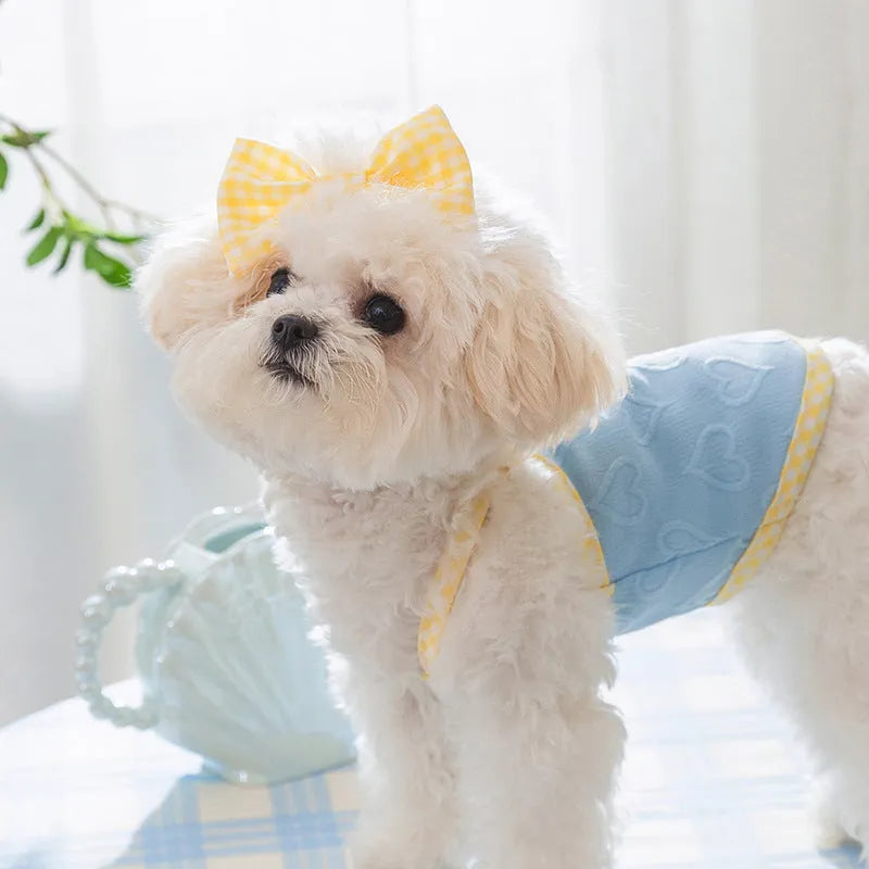 Small dog wearing heart bow suspenders vest with elastic sides in Bondi Blue colour with matching hairband