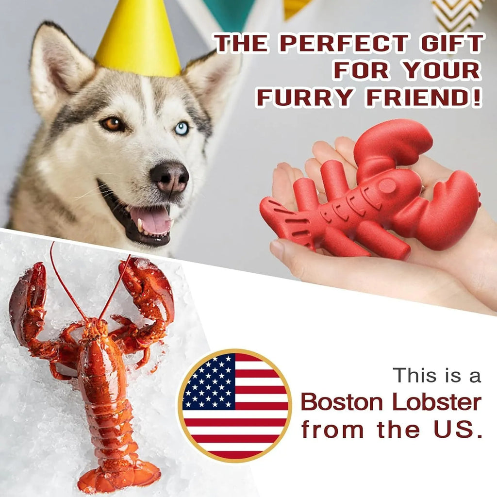 Red nylon chew bone for large dogs, dimensions 170 x 132 x 57 mm