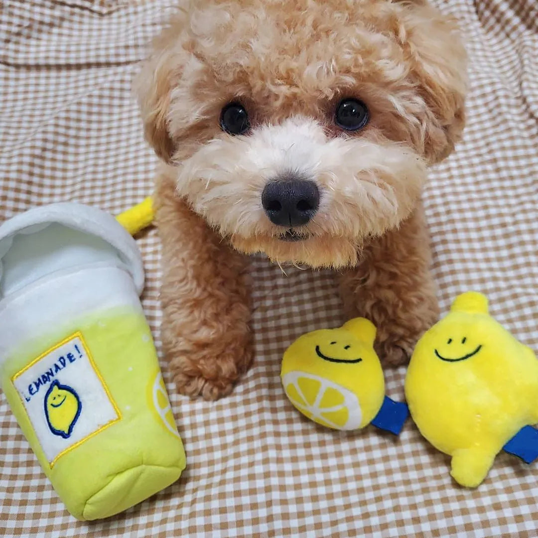Yellow plush pet voice toy shaped like a lemon tea cup with squeaker and side snack pocket