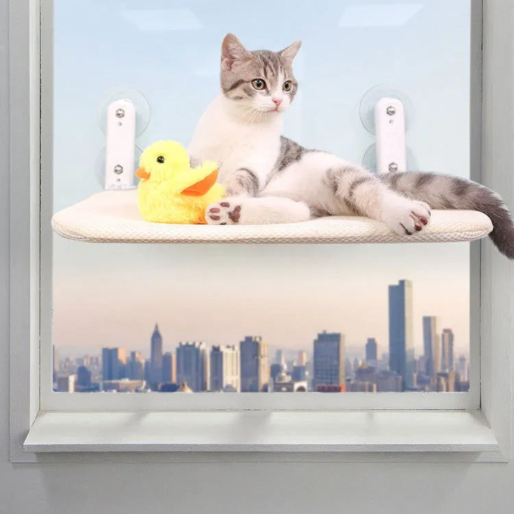 Cat resting on a grey mesh window hammock attached with stainless steel suction cups