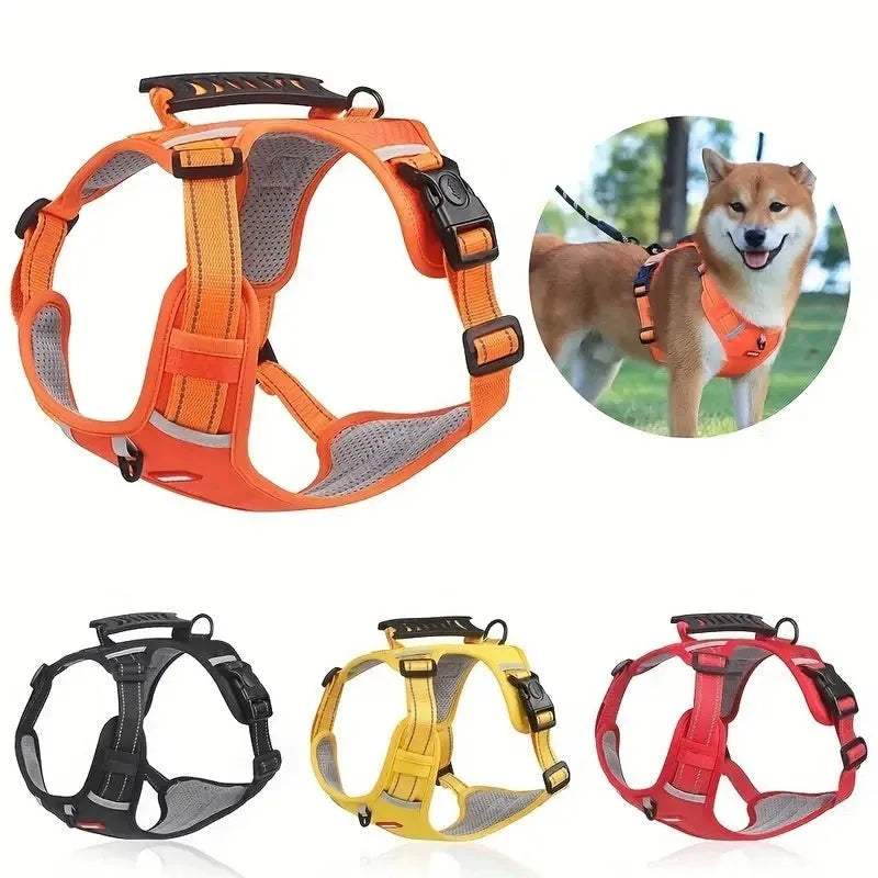 Polyester dog harness and lead set in multiple colours with adjustable chest strap