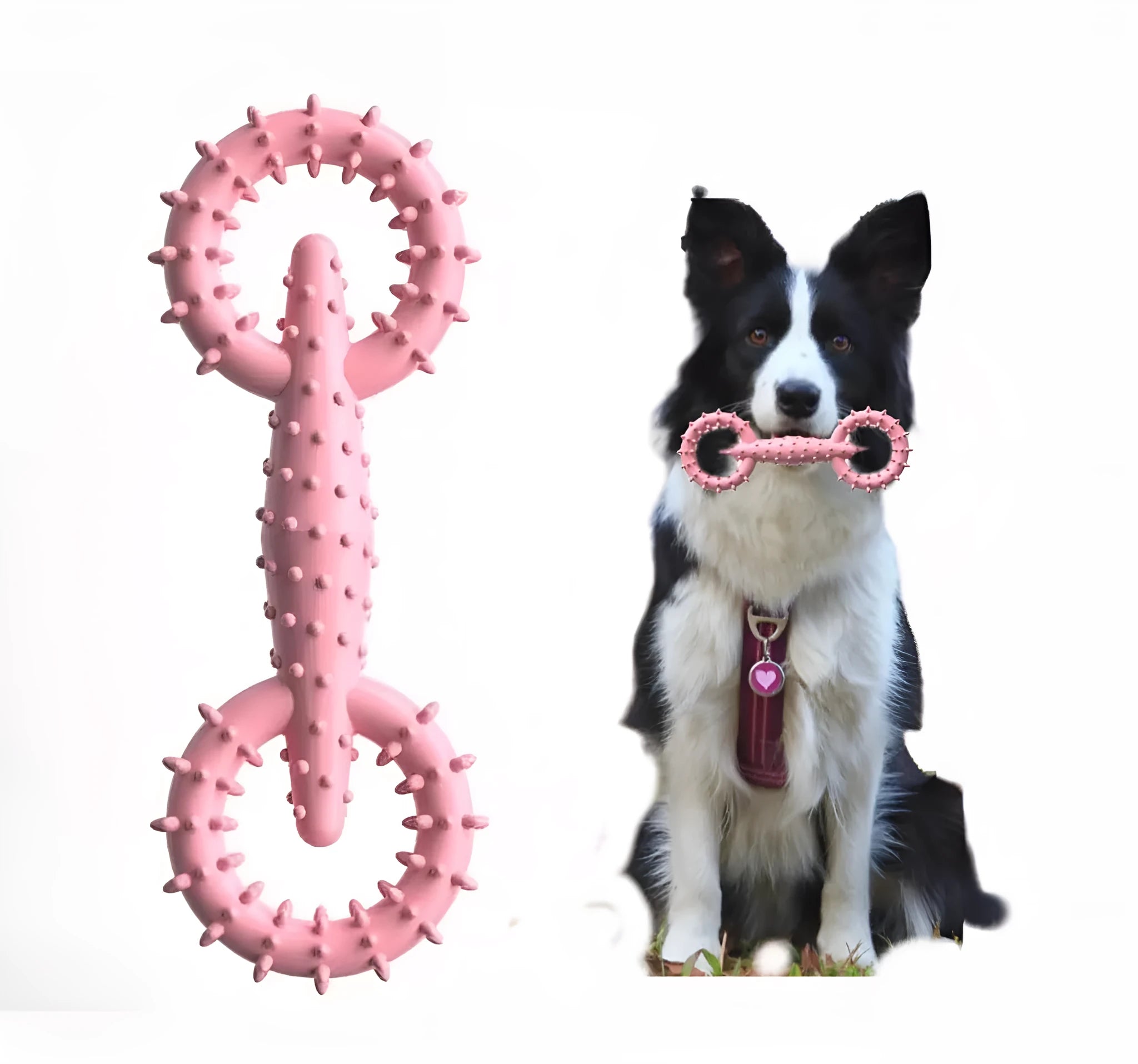 Blue TPR dog chew toy ring board for puppy teething relief measuring 16cm by 5.8cm