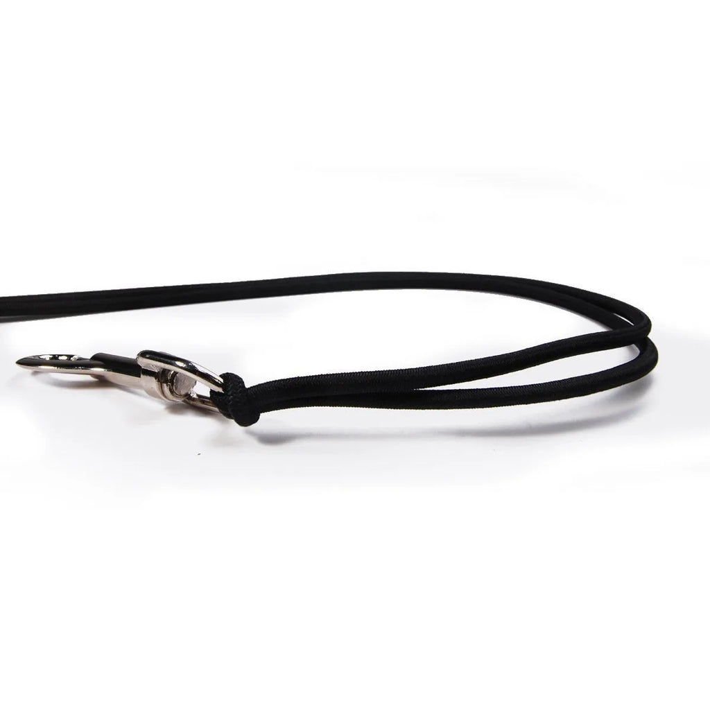 Bicycle dog walking hand holding rope pet traction lead with stainless steel chain ring on white background