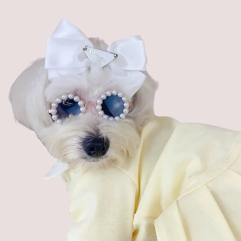 Round pearl-rimmed sunglasses for a dog or cat costume, shown in multiple colours.