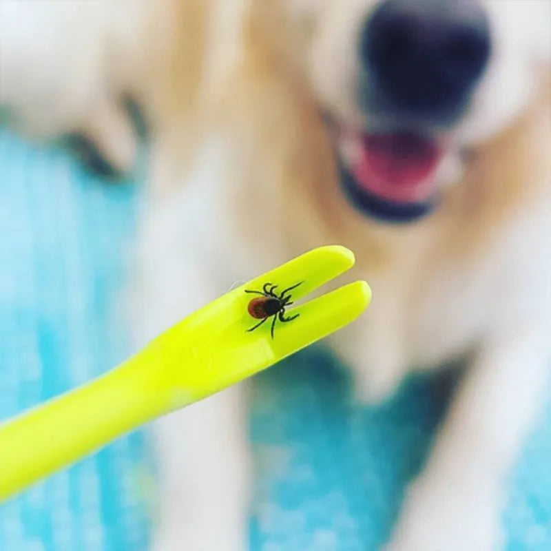 Set of three blue or green plastic tick removal hook tools for pets on a white background.