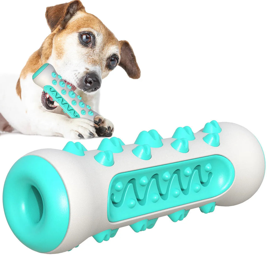 Natural rubber dog toothbrush chew toy in one of four colours, measuring 15cm long