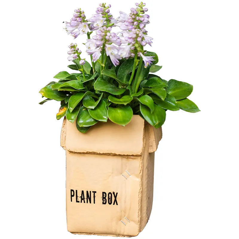 Cement brown paper box flowerpot with drainage holes for indoor balcony planting in Nordic style