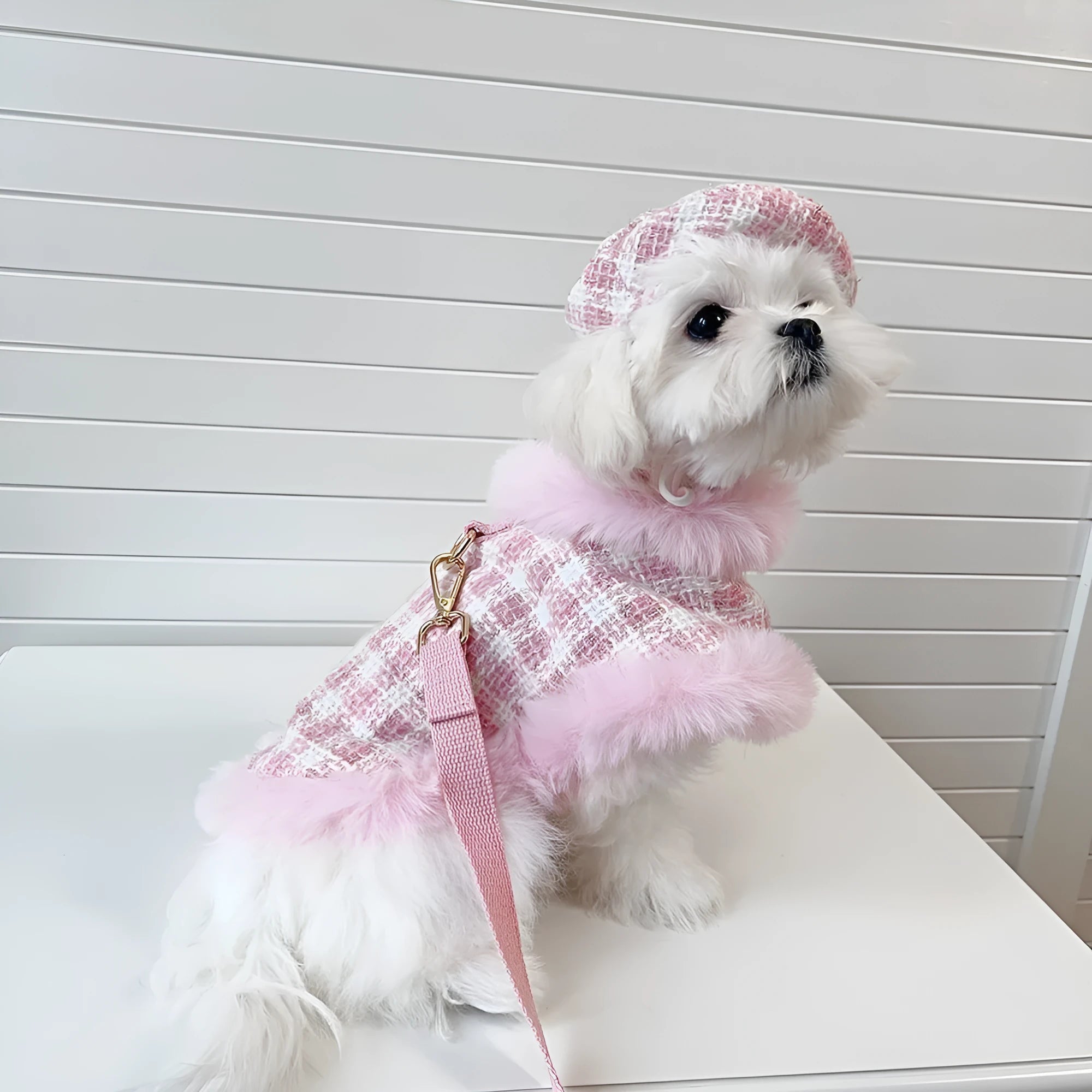 Pink cat costume set with cloak, beret and hand-holding rope