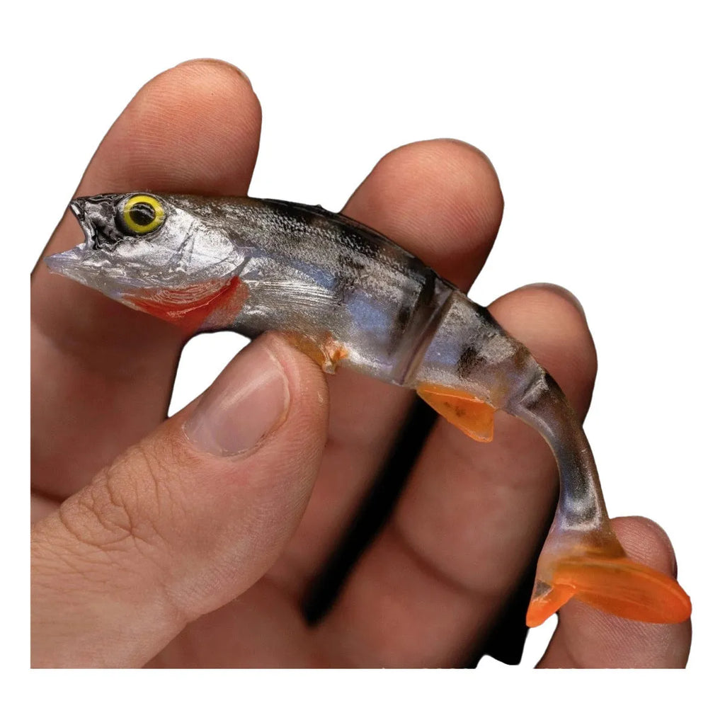 Two soft plastic fishing lures with fish pattern and T-tail design on a blue background.