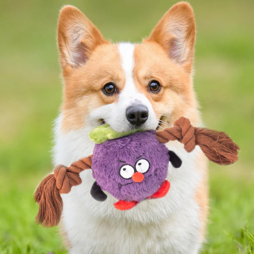 Green and purple interactive dog toy with plush rope knot for tug-of-war and dental cleaning features