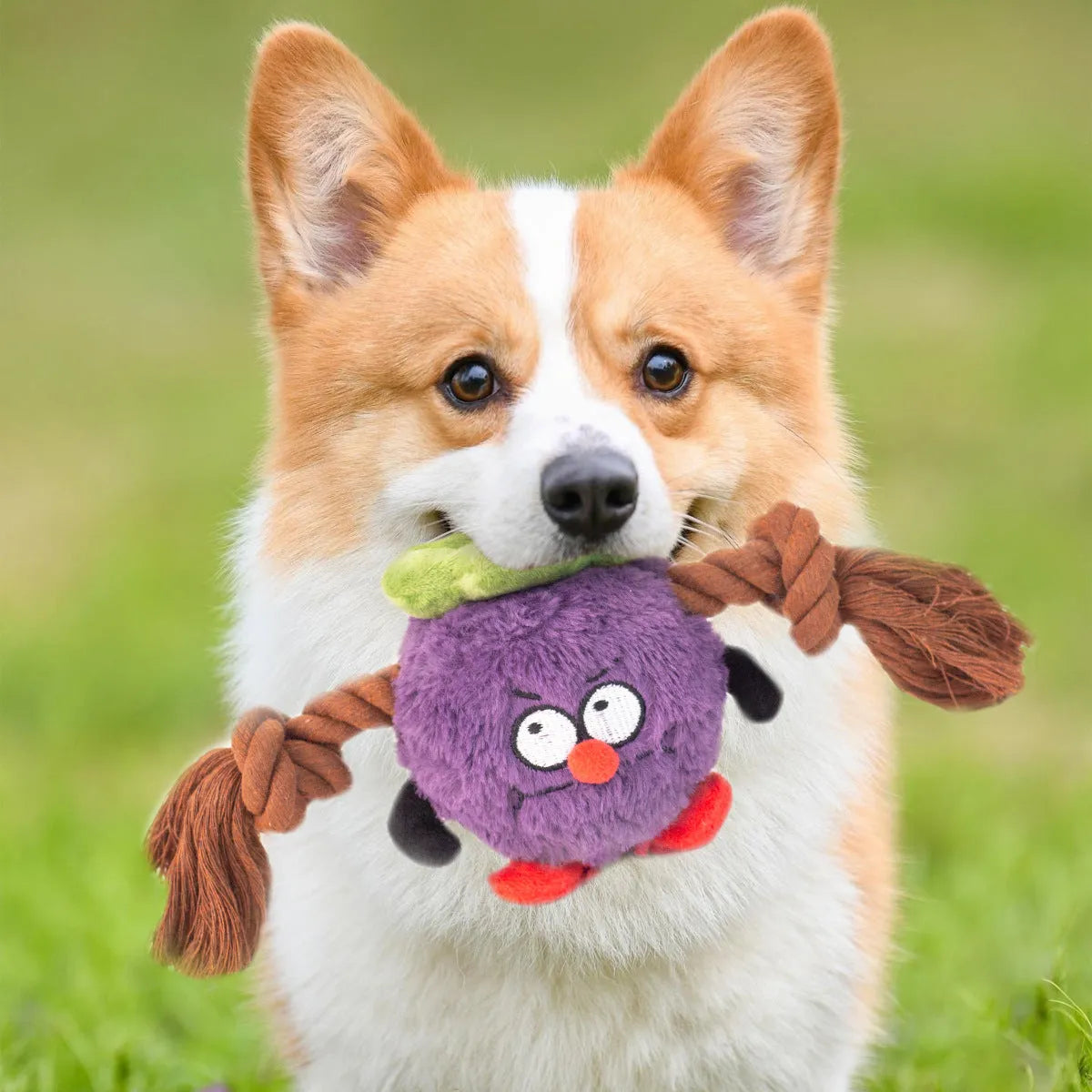 Green and purple interactive dog toy with plush rope knot for tug-of-war and dental cleaning features