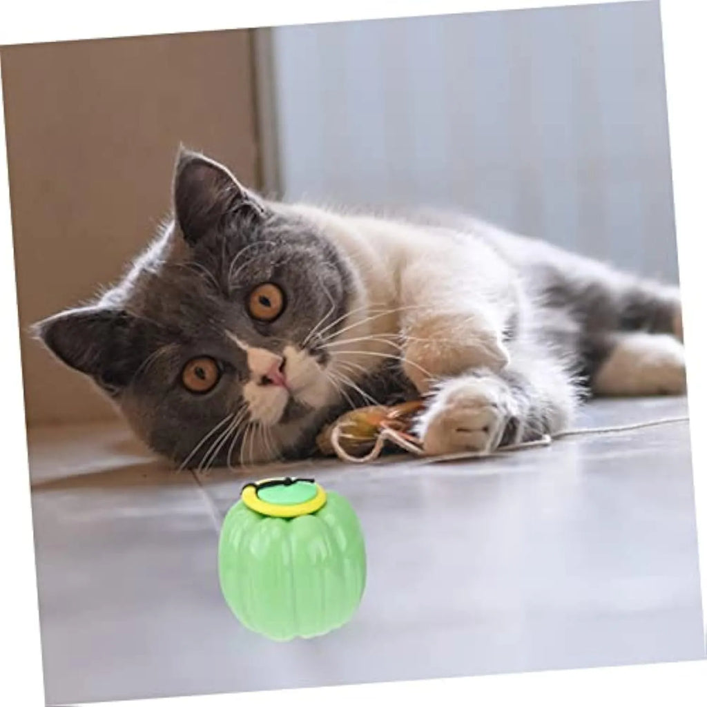 Plastic orange pumpkin-shaped dog chew toy with squeaker for small dogs on a green background.