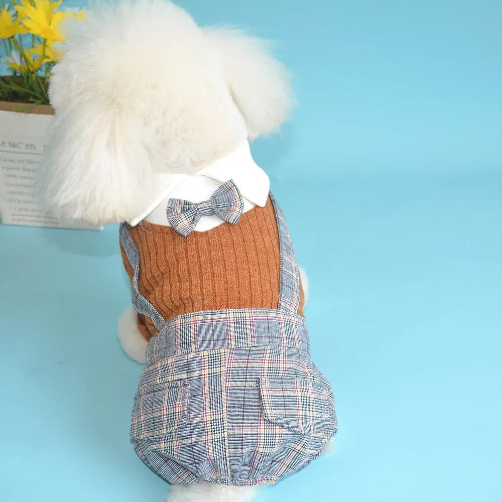 A small dog wearing a dark blue cotton shirt, showing the standard shirt fit on a pet.
