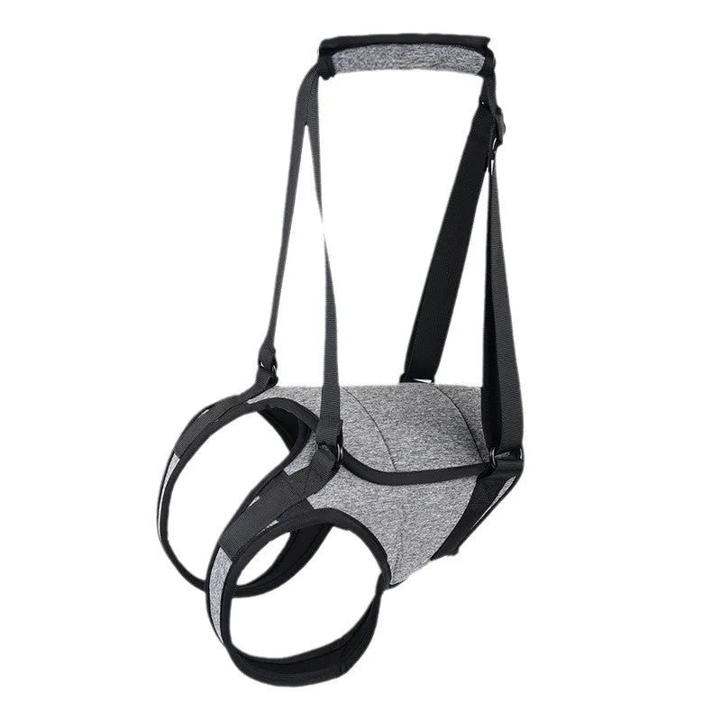 Grey neoprene dog rear leg recovery belt showing adjustable waist and thigh straps on a size chart.