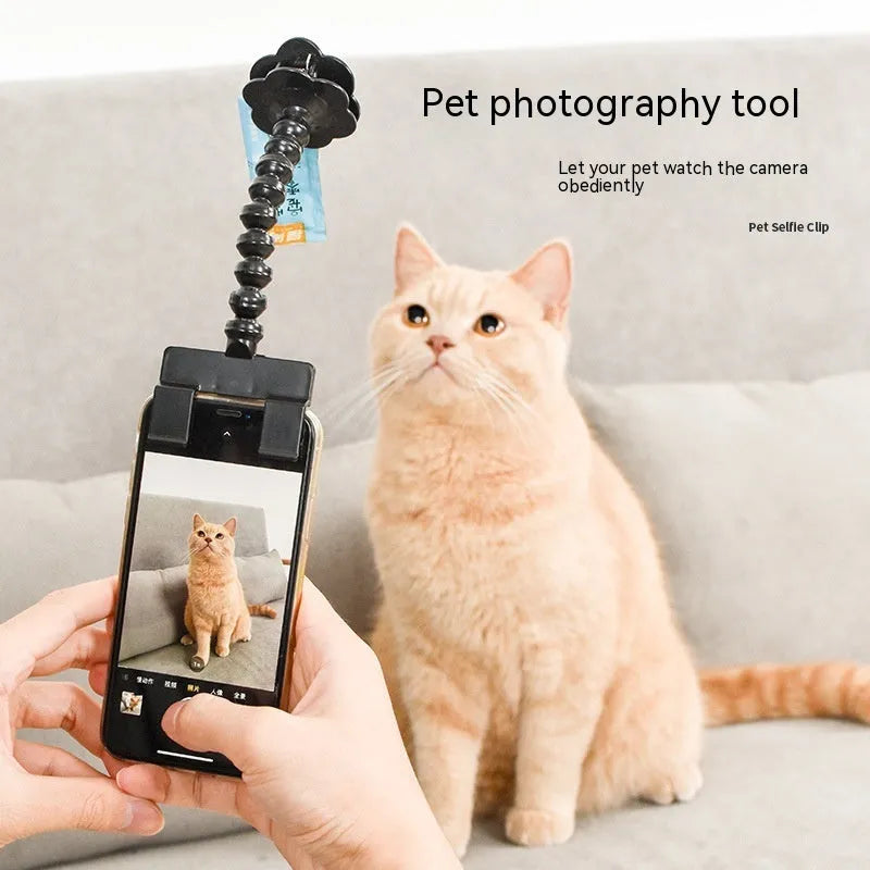 Black plastic pet photography mobile phone holder with treat clip and 360° rotation mechanism