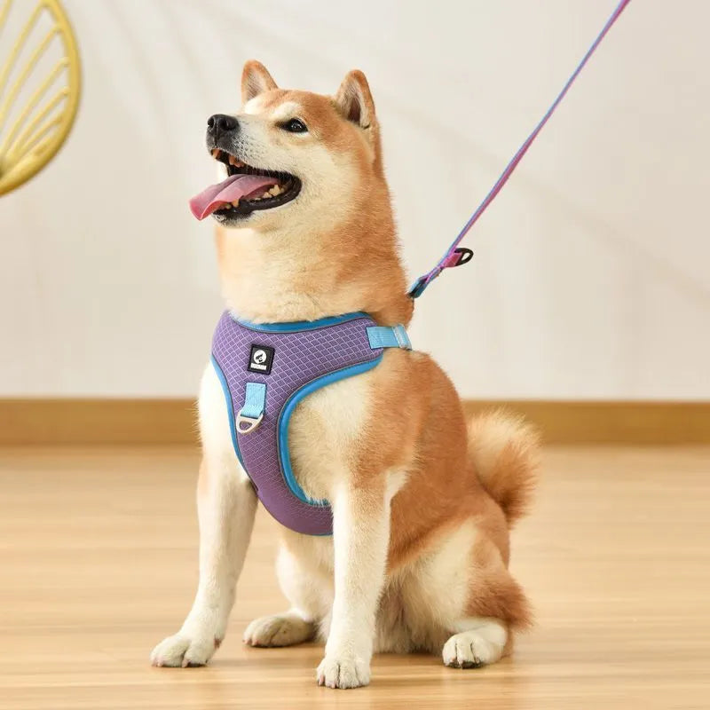Adjustable mesh dog harness with reflective piping in multiple colour options