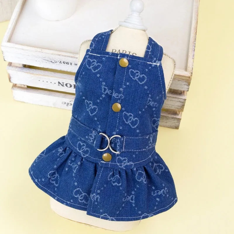 Small white Bichon dog wearing a denim princess dress with bracket skirt design