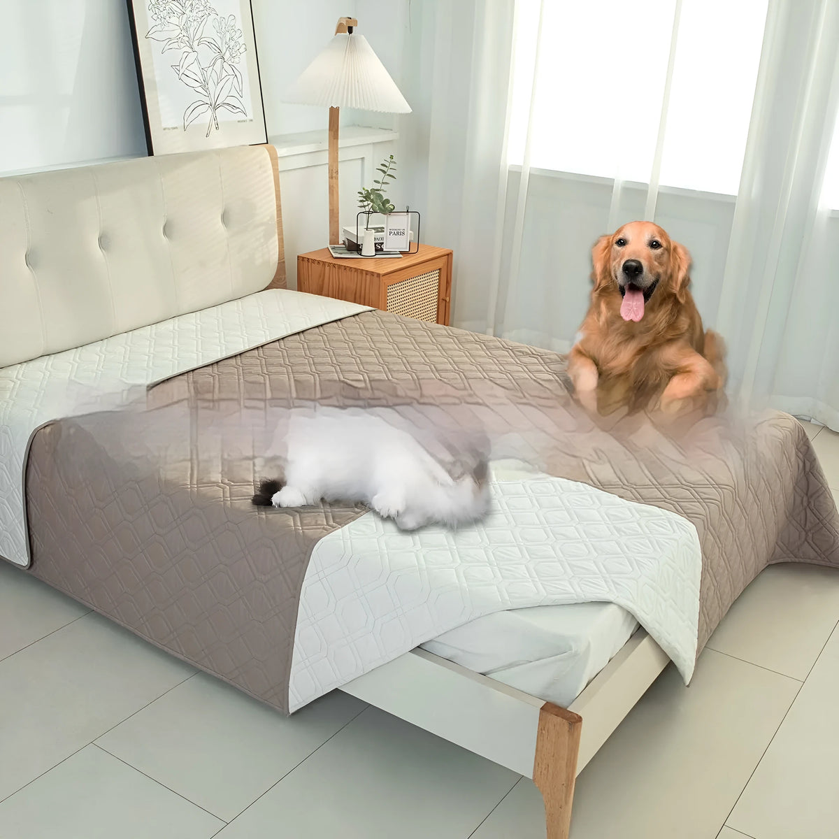 Double-sided waterproof dog sofa cushion showing dark grey and light grey reversible sides on a sofa.