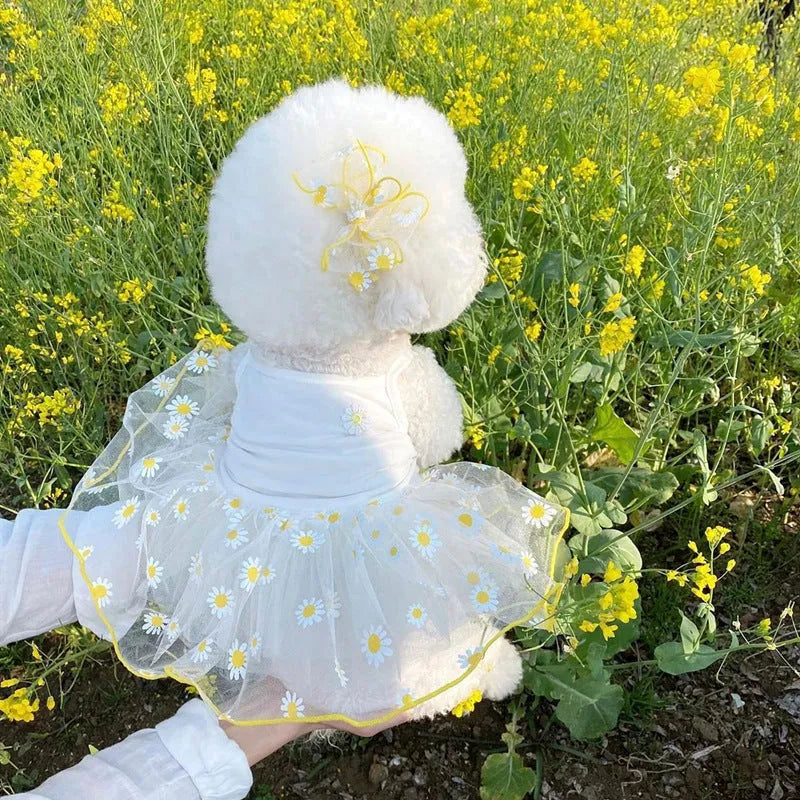 Yellow daisy patterned polyester dog summer clothes shown in size options from XS to XL