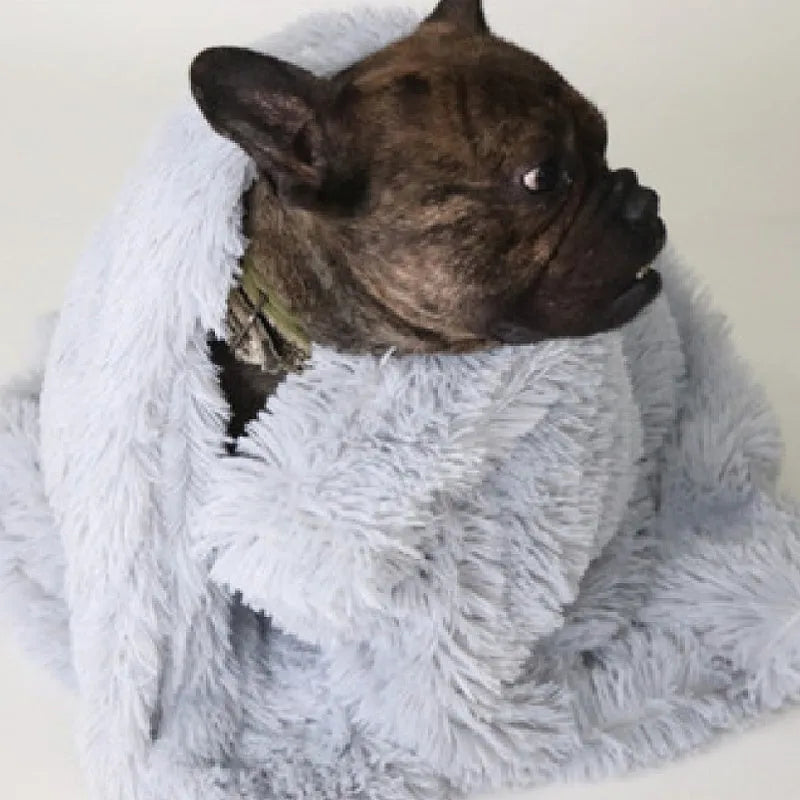 Soft dark grey long plush dog blanket shown next to a large dog in a home setting.