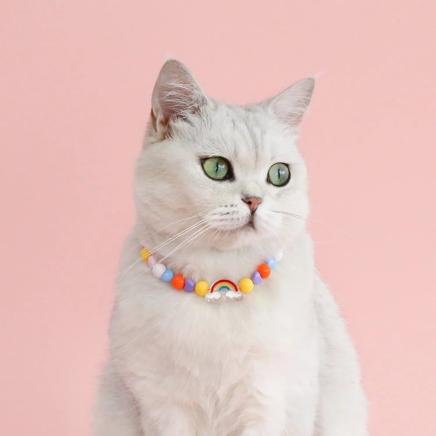 Adjustable colourful beads plastic cat necklace in peach, rainbow and small flower designs