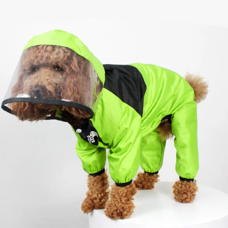 Green long-legged dog rain poncho with transparent brim on a dog