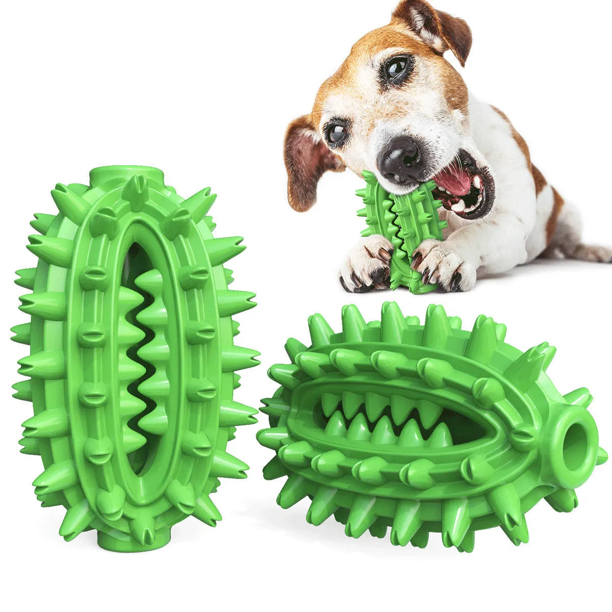 Green cactus-shaped dog chew toy with bumps and a central channel for dental care