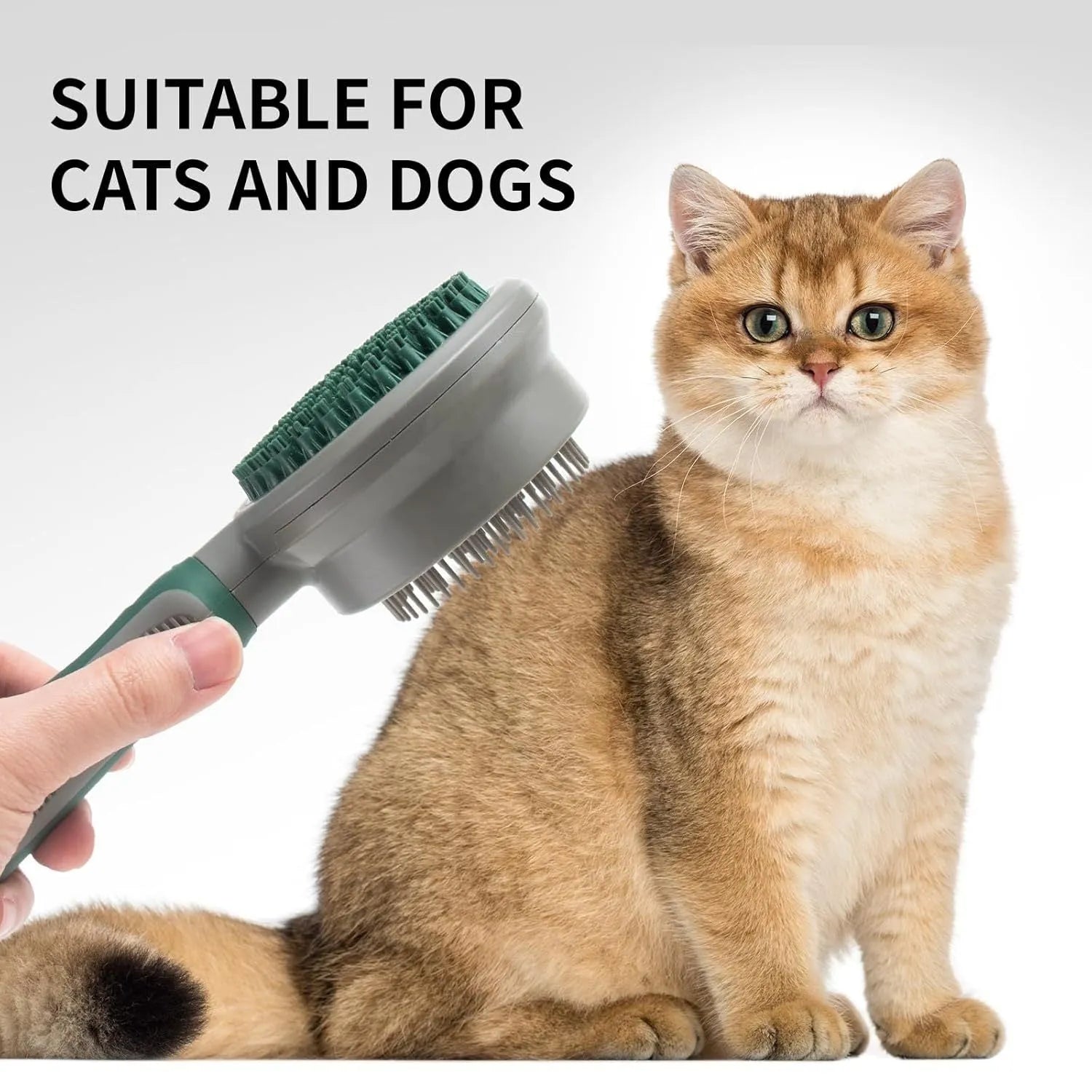 Green and pink 2-in-1 silicone cat grooming brush showing slicker brush and massager sides