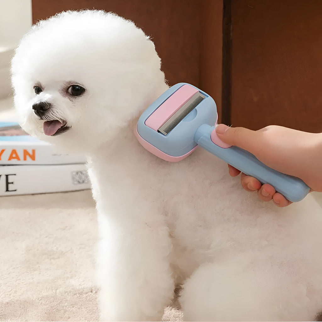 Blue and green double-sided pet deshedding brush with rake and comb, showing dimensions.