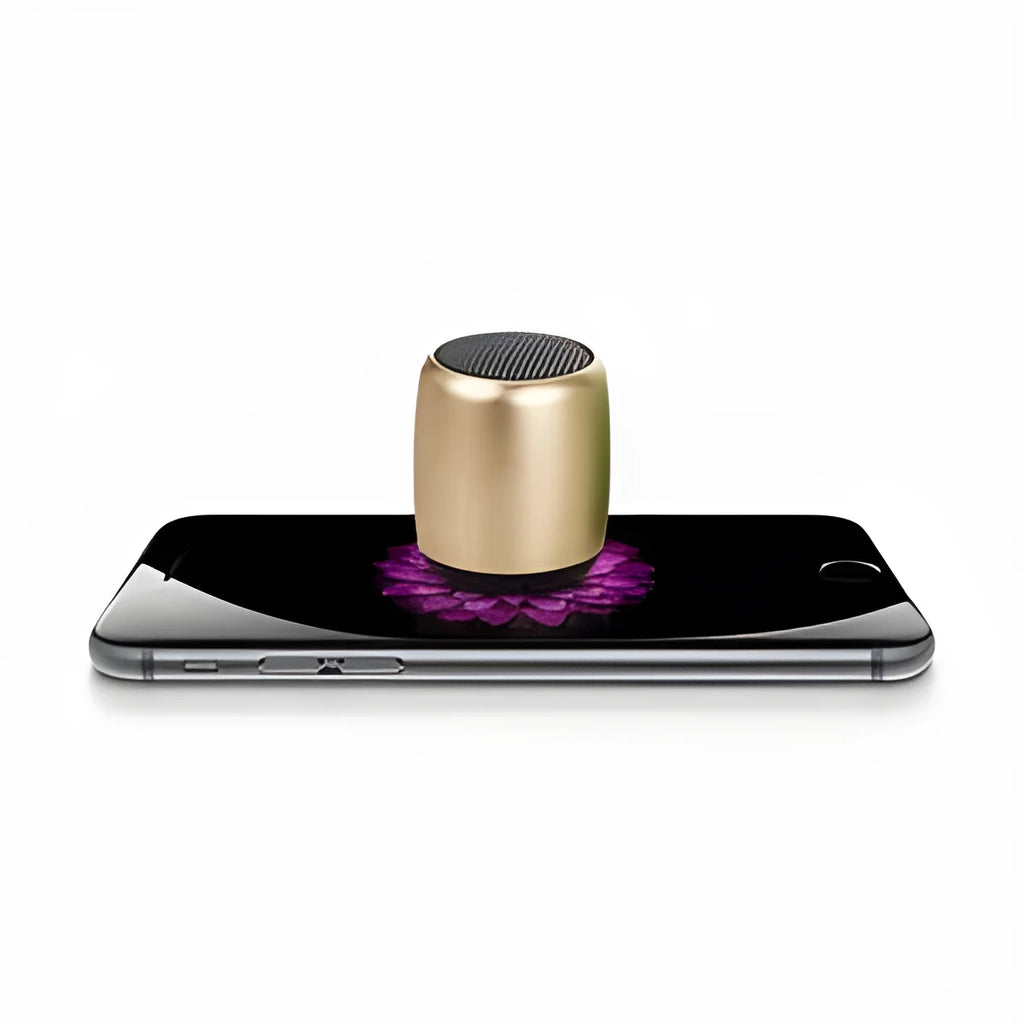 Small portable Bluetooth wireless speaker in black, blue, gold, and pink colour options.