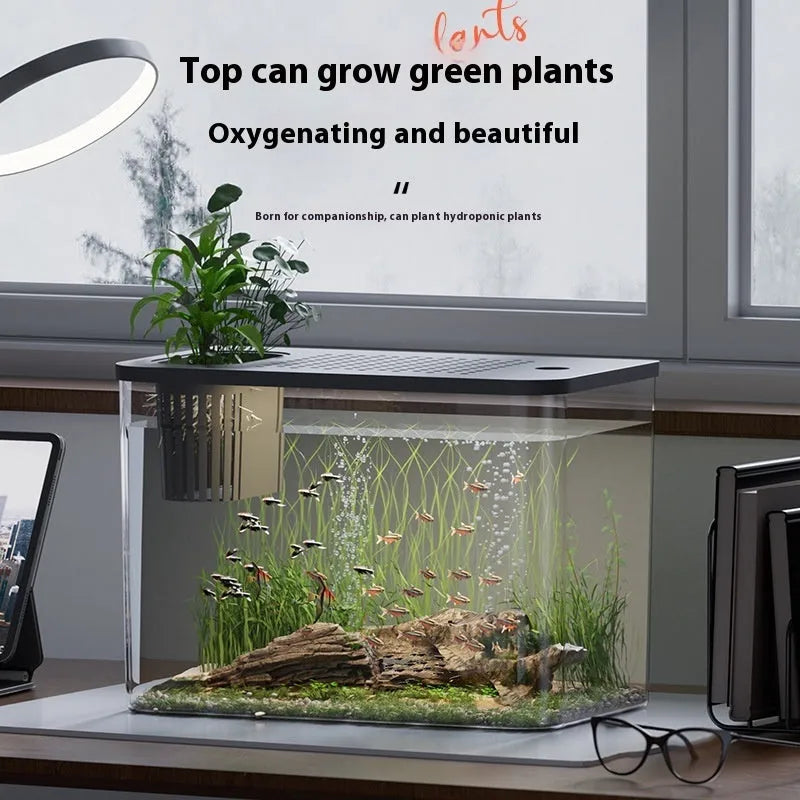 Plastic betta fish tank with cover in medium 32x18.5x23cm size black and white options