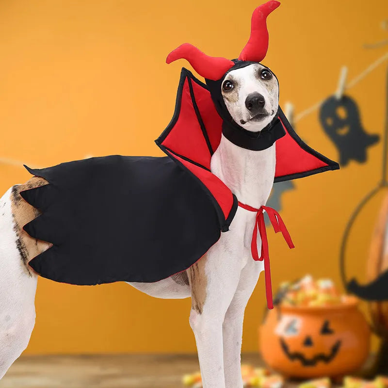 Black polyester vampire costume with cloak and hat for cats or dogs on Halloween