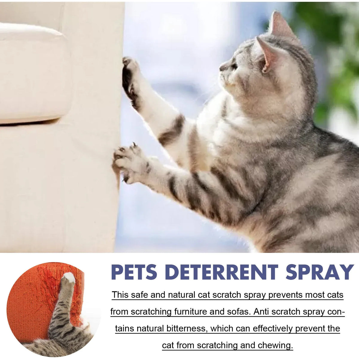 50ml pet training spray in box to deter dog and cat scratching on furniture