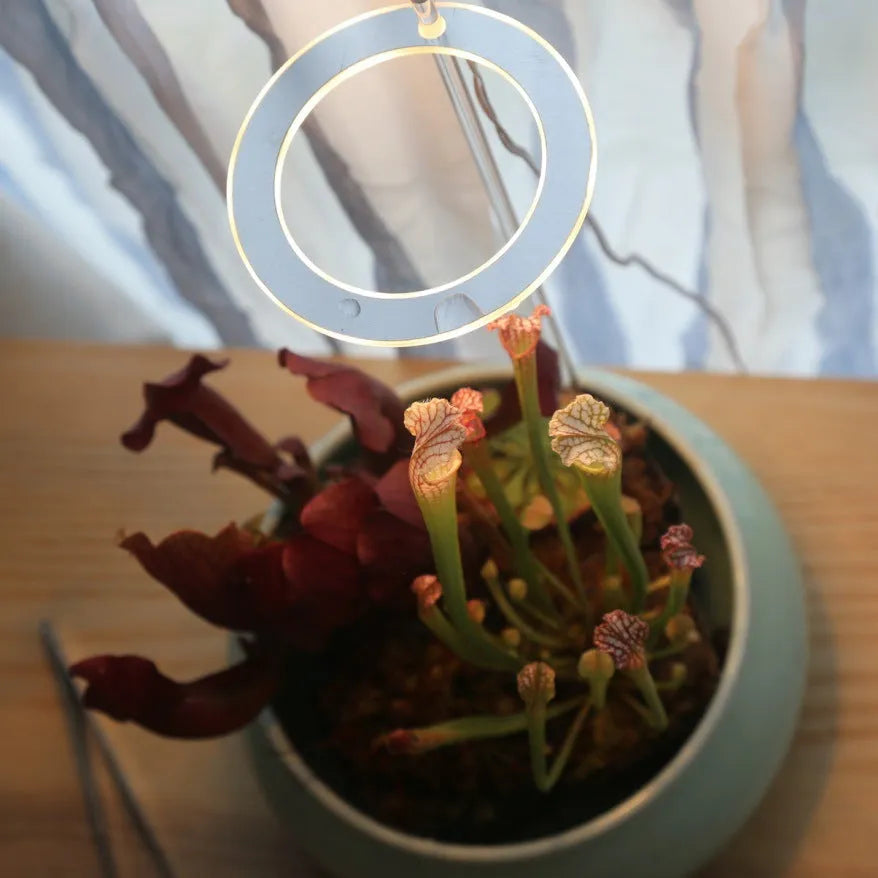 USB-powered full spectrum LED plant grow light with acrylic stick, shown in yellow light.