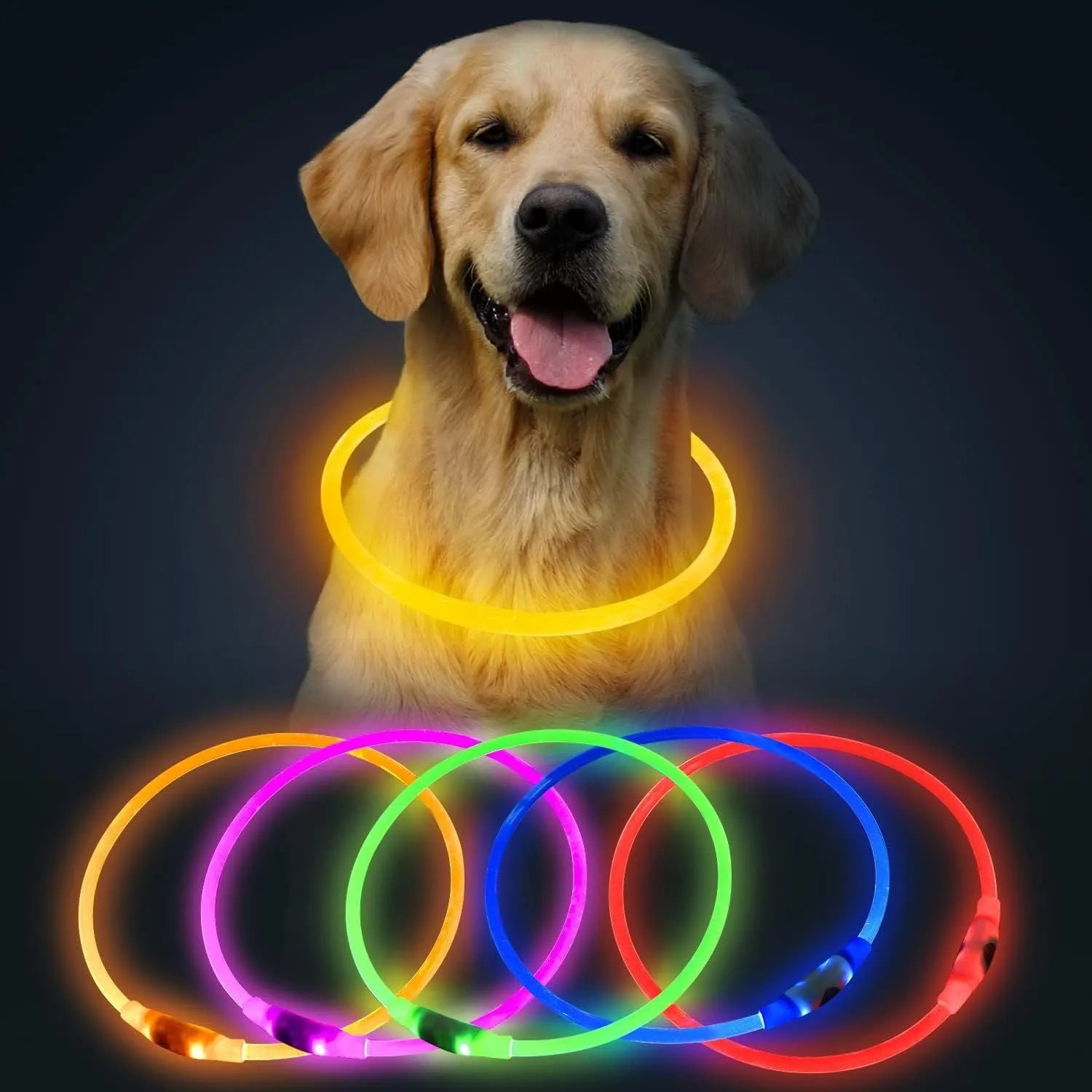 Blue USB-rechargeable LED dog collar glowing on a dog's neck, showing the 70cm adjustable TPU strap.