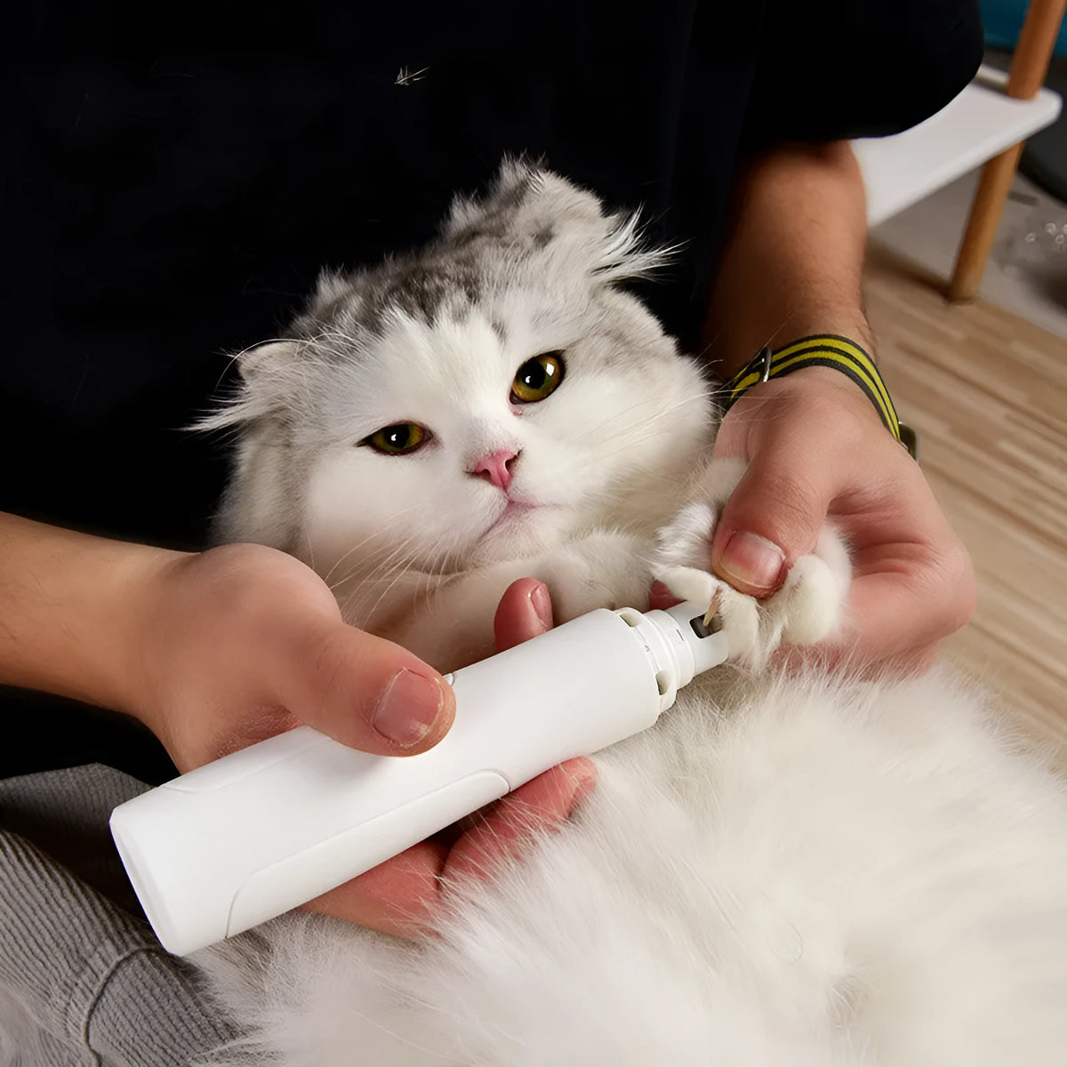 Electric pet nail trimmer in black or white with ABS body, USB charging cable and nail polisher for pet grooming.