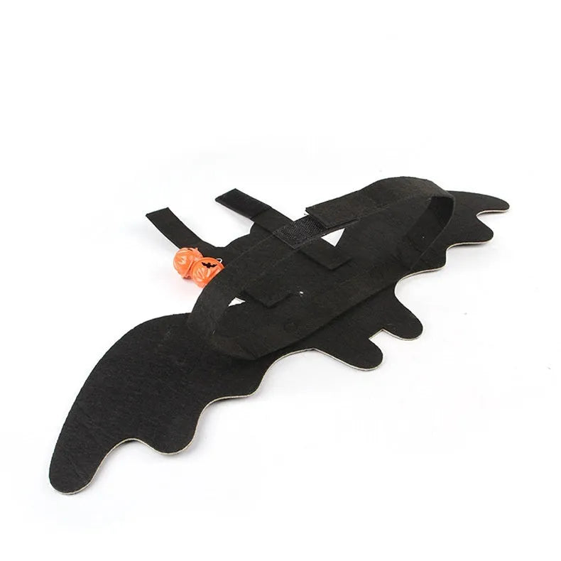 Felt black batwing Halloween costume being worn by a cat