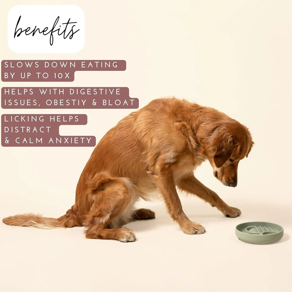 Silicone dog slow feeder bowl with textured ridges, shown in beige colour