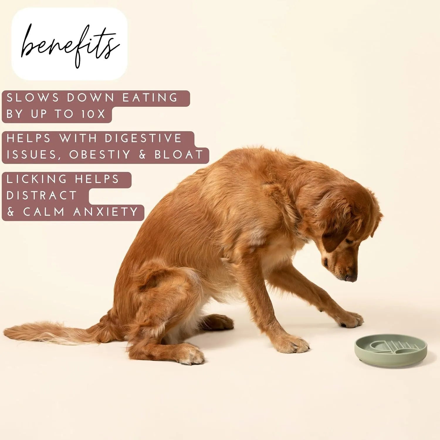 Silicone dog slow feeder bowl with textured ridges, shown in beige colour