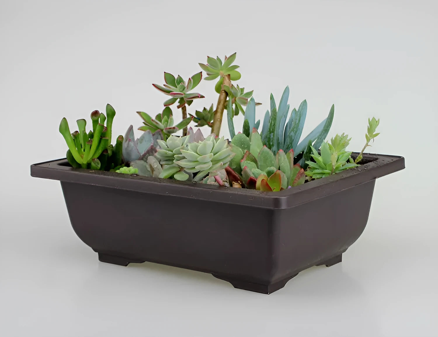 Dark brown antique-style plastic flowerpot in rectangle and square sizes for home gardening