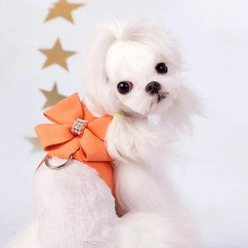 Colourful puppy chest strap with decorative bowknot for small dog harness attachment