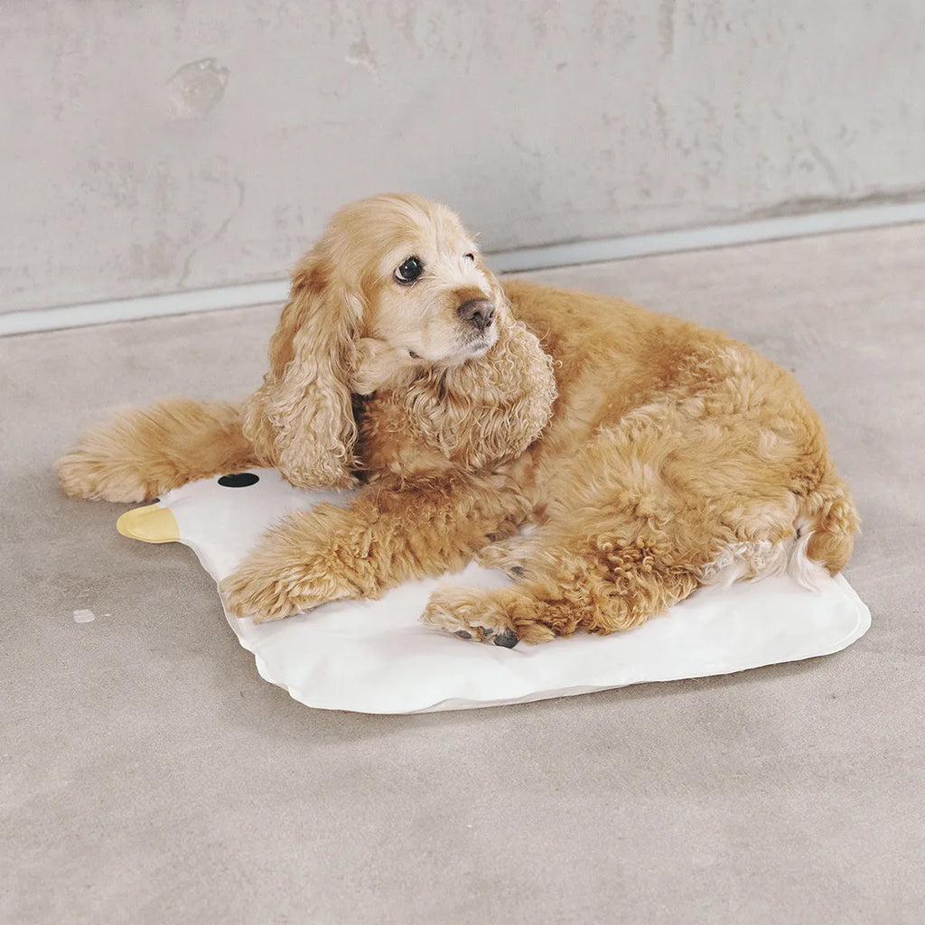 Square chick-shaped blue pet cooling mat on a wooden floor.